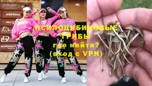 spice Абинск
